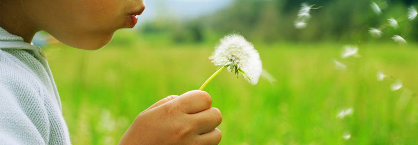 Buy health insurance for you and your family!