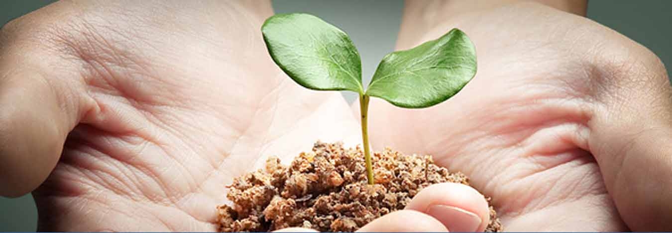 Individual loan to finance and develop your business