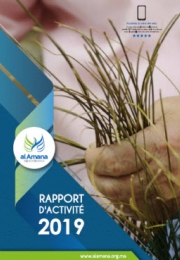 Activity report 2019