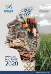 rapport d'activité 2020